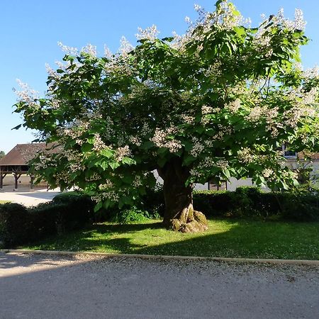 Le Manoir De Hauterive Hotel Hauterive  Exterior photo