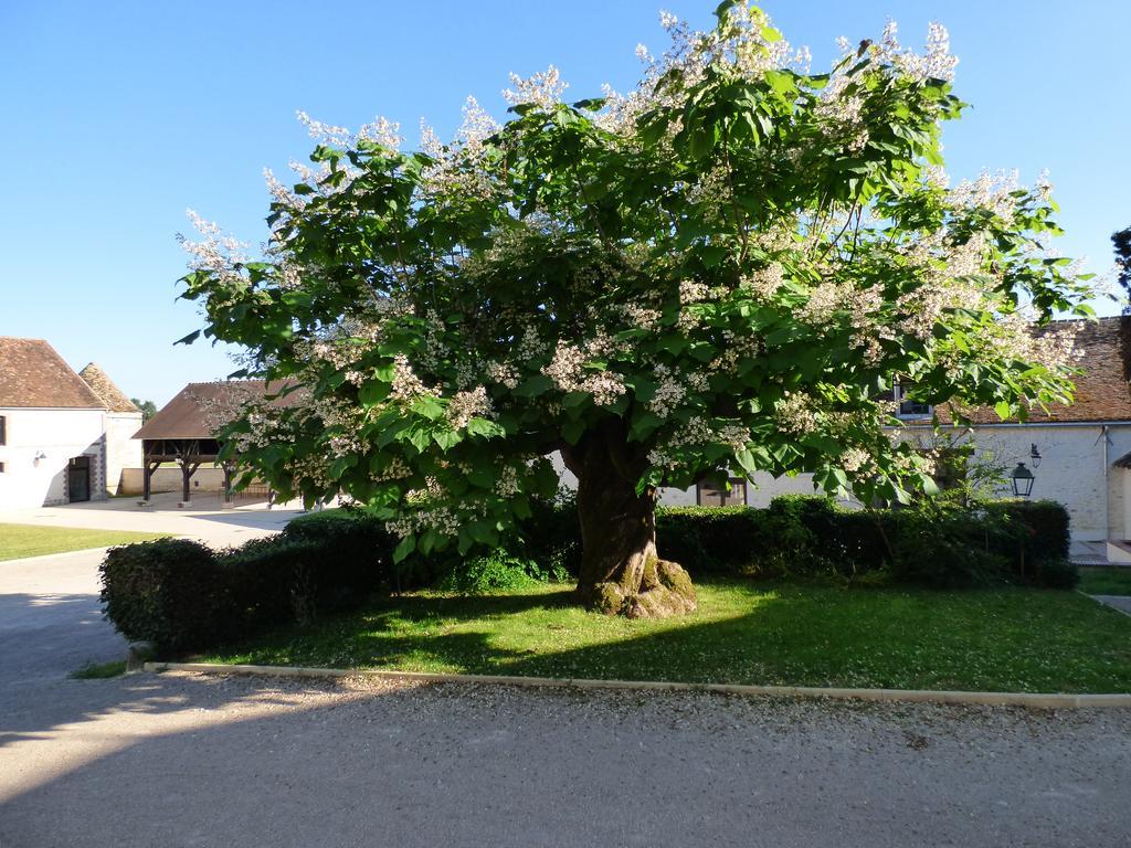 Le Manoir De Hauterive Hotel Hauterive  Exterior photo